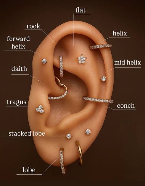 Diagram of common ear piercing placements: lobe, tragus, daith, conch, rook, helix